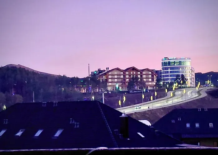 Pejzaz Zlatibora 2 ズラティボール